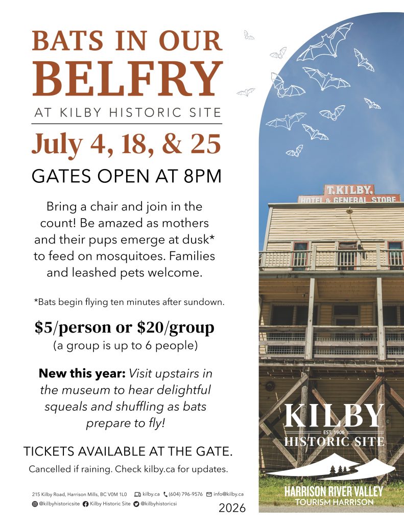 2026 Bats in our Belfry Poster